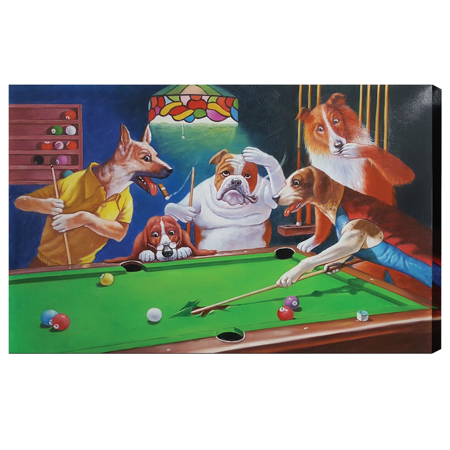 DOG_PLAYING_POOL